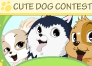 Cute Dog Contest 
