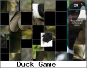 Wild Duck Puzzle 