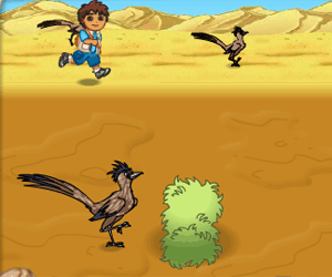 Diego The Great Roadrunner Race 