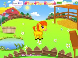 Cute Pony Daycare 