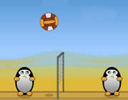 Volleyball Penguins 