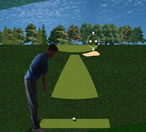 Play Flash Golf