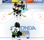 Play Ice Hockey