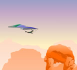 Canyon Glider 