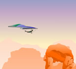 Play Canyon Glider