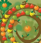 Fruit Twirls