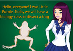Frog Surgery 