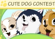 Play Cute Dog Contest