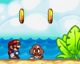 Play Mario Beach