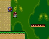 Play Mario Star Hunting