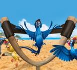 Play Angry Birds Rio