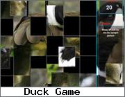 Play Wild Duck Puzzle