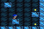 Play Sonic Labyrinth