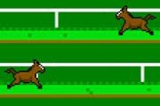 Play Impossible Horse