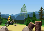 Play Stunt Dirt Bike