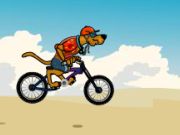 Play Scooby Doo Beach Bmx