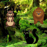 Hidden objects Wild Animals 