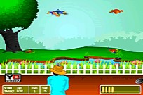 Play Birds Hunting Challenge